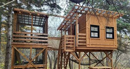 Cozy Tree House for a Unique Stay in Nature near Cocagne in New Brunswick