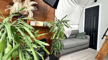 A living room with a flat-screen TV mounted on a wooden wall, a grey sofa, and several potted plants.