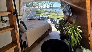 A tented room with a bed, a ladder, a TV, and a view of the outdoors. - Cozy Dome Rental in Canada, for Romantic Weekends in Nature in Nova Scotia (Antigonish)
