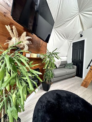 A living room with a flat-screen TV mounted on a wooden wall, a grey sofa, and several potted plants.
