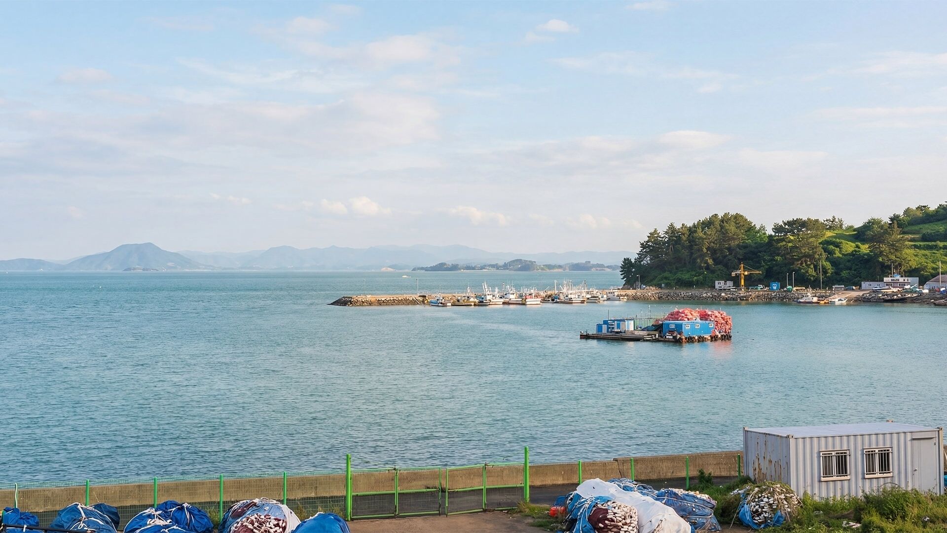 Vista costera con un muelle, barcos y un pequeño edificio.
