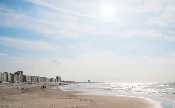 Beach - Seagenic - stay with terrace and open view in Nieuwpoort (Nieuwpoort)