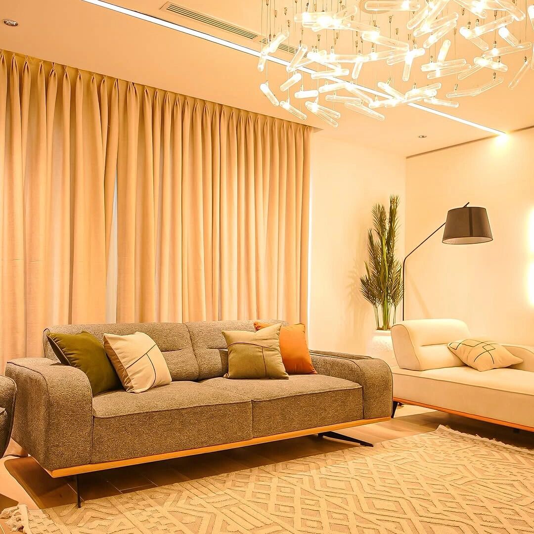 A modern living room with a sofa, a smaller couch, a patterned rug, and a plant.