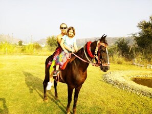 Miscellaneous - Ranthambhore Tiger Valley (Sawai Madhopur)