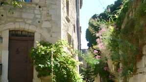 A narrow stone pathway flanked by buildings with arched windows and doors, potted plants, and climbing vines. - Gite La Villa des Pins in Drôme Provençale (Le Poët-Laval)