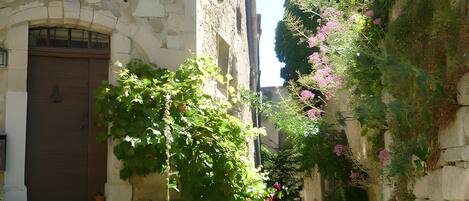 المنطقة المحيطة بالمنشأة