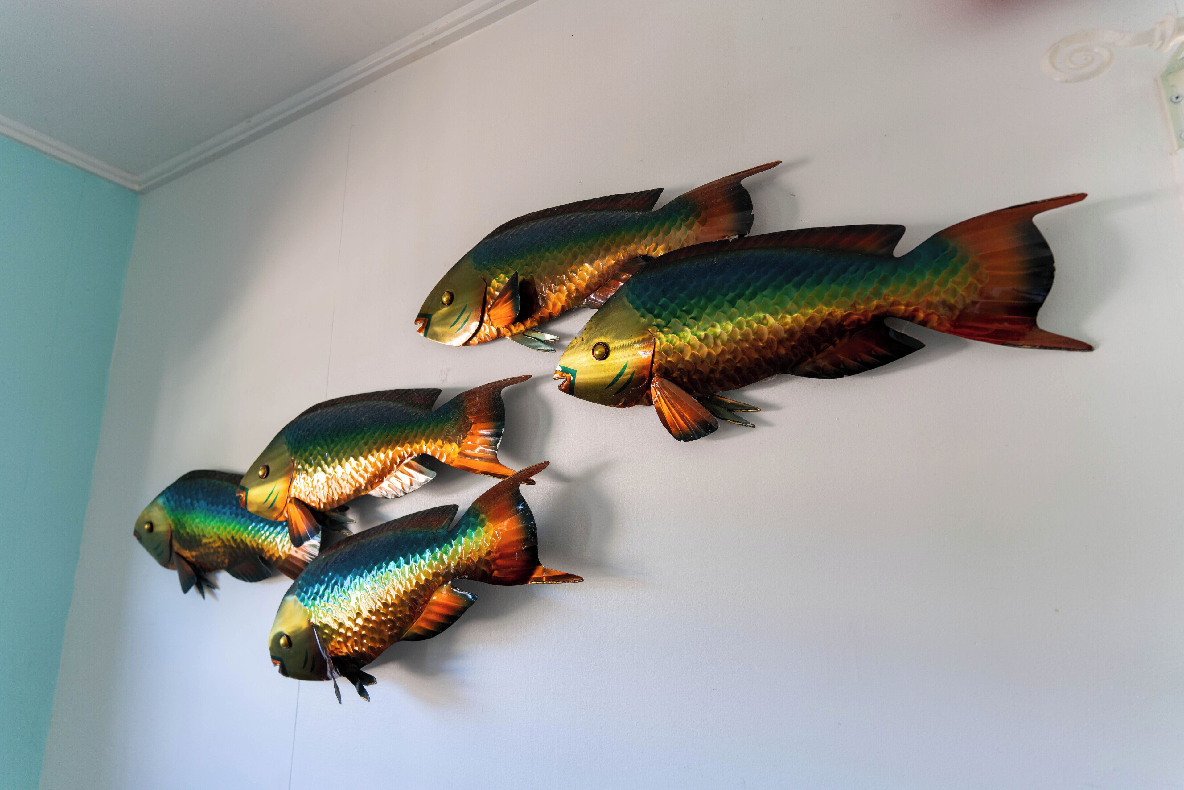 Un mur orné de cinq décorations en forme de poisson.