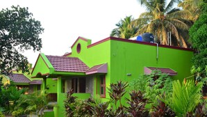 Ett ljust grönt hus med ett rött tak, omgivet av frodiga tropiska växter.