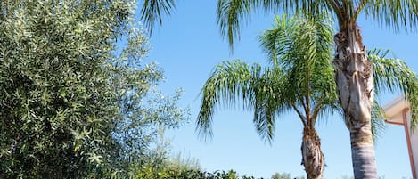 Alberca