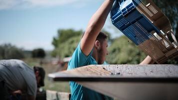 Terrein van de accommodatie