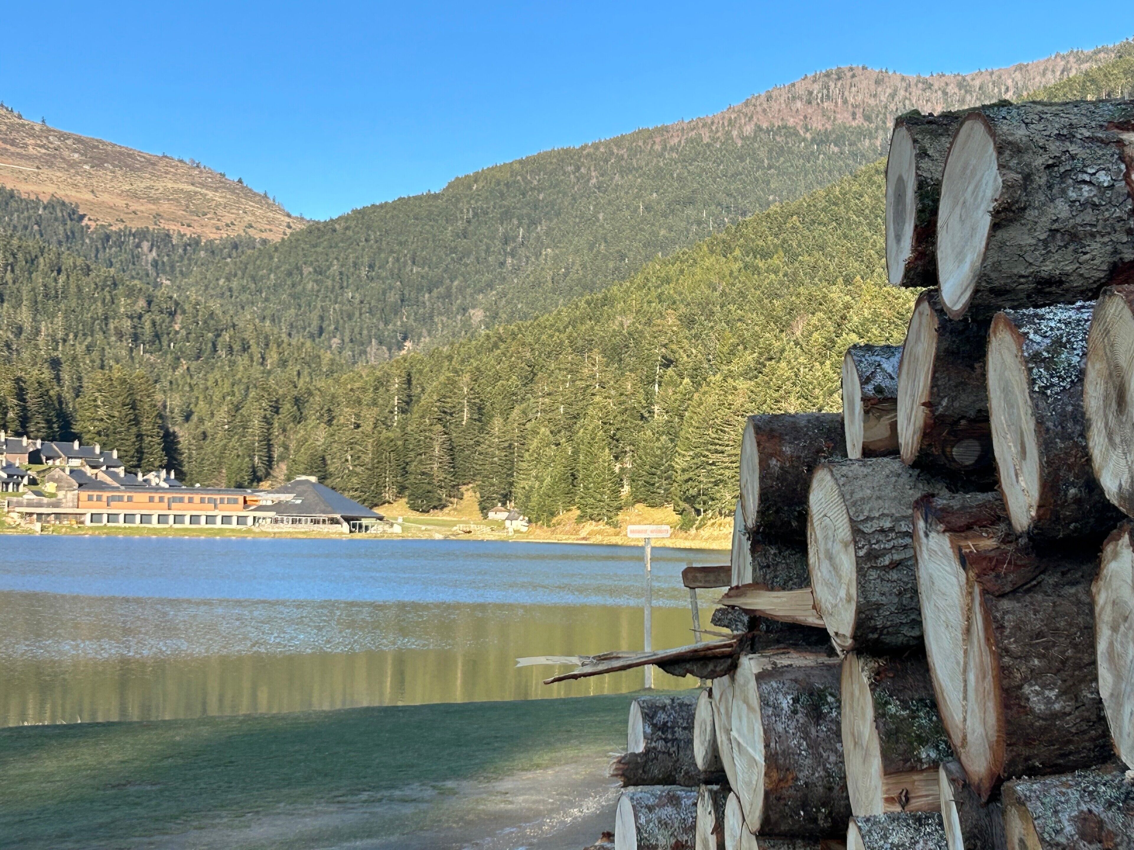 Vista del lago con una pila de leña, un edificio con techo y una montaña boscosa al fondo.
