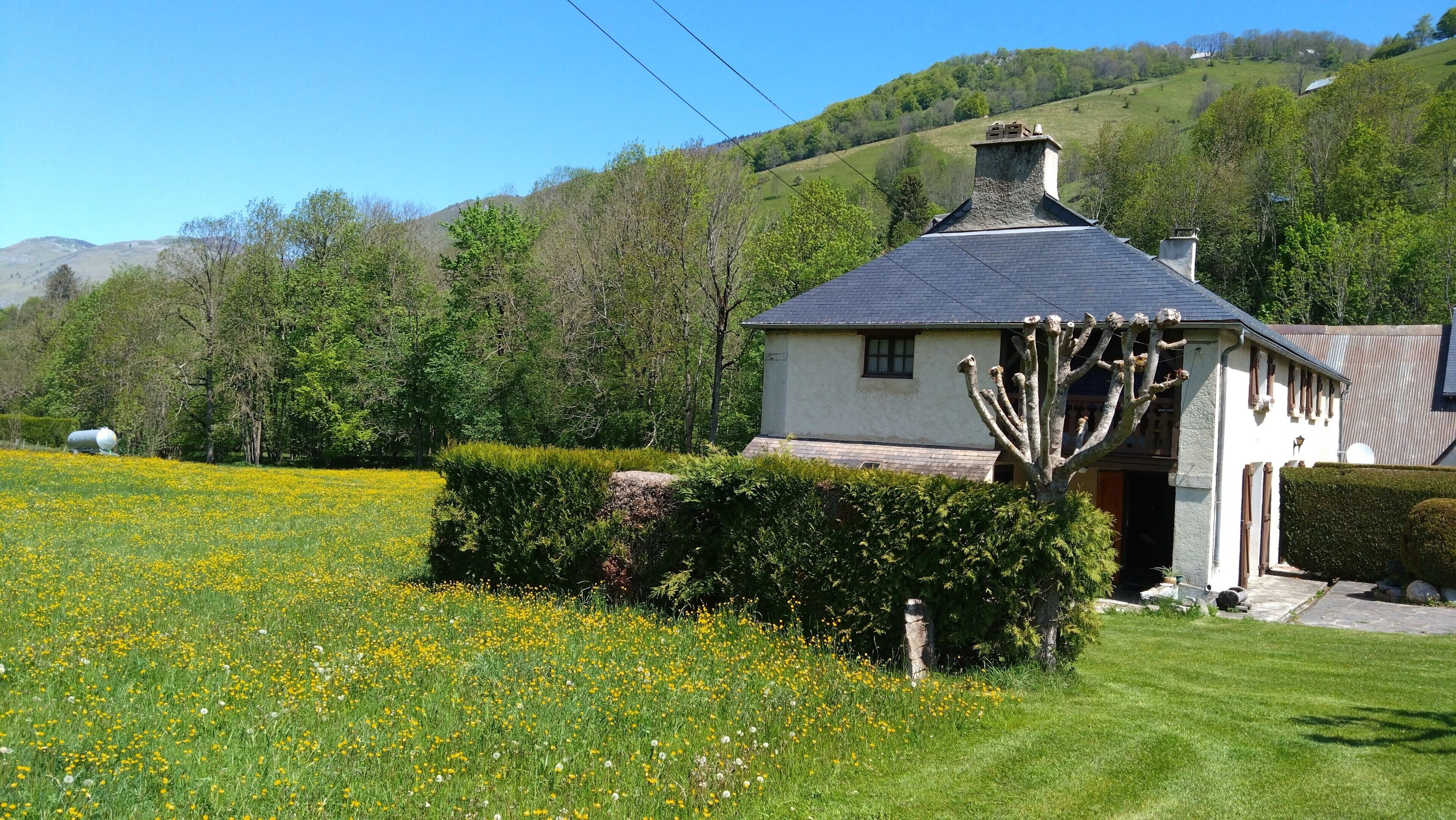 A house with a sloped roof, a chimney, and a garden with yellow flowers.