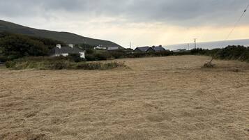A rural landscape with houses, a hill, and a field.