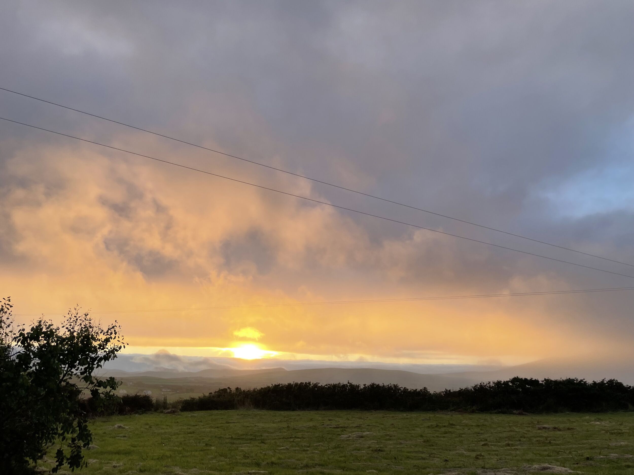 A landscape with a sunset, power lines, and a grassy field.