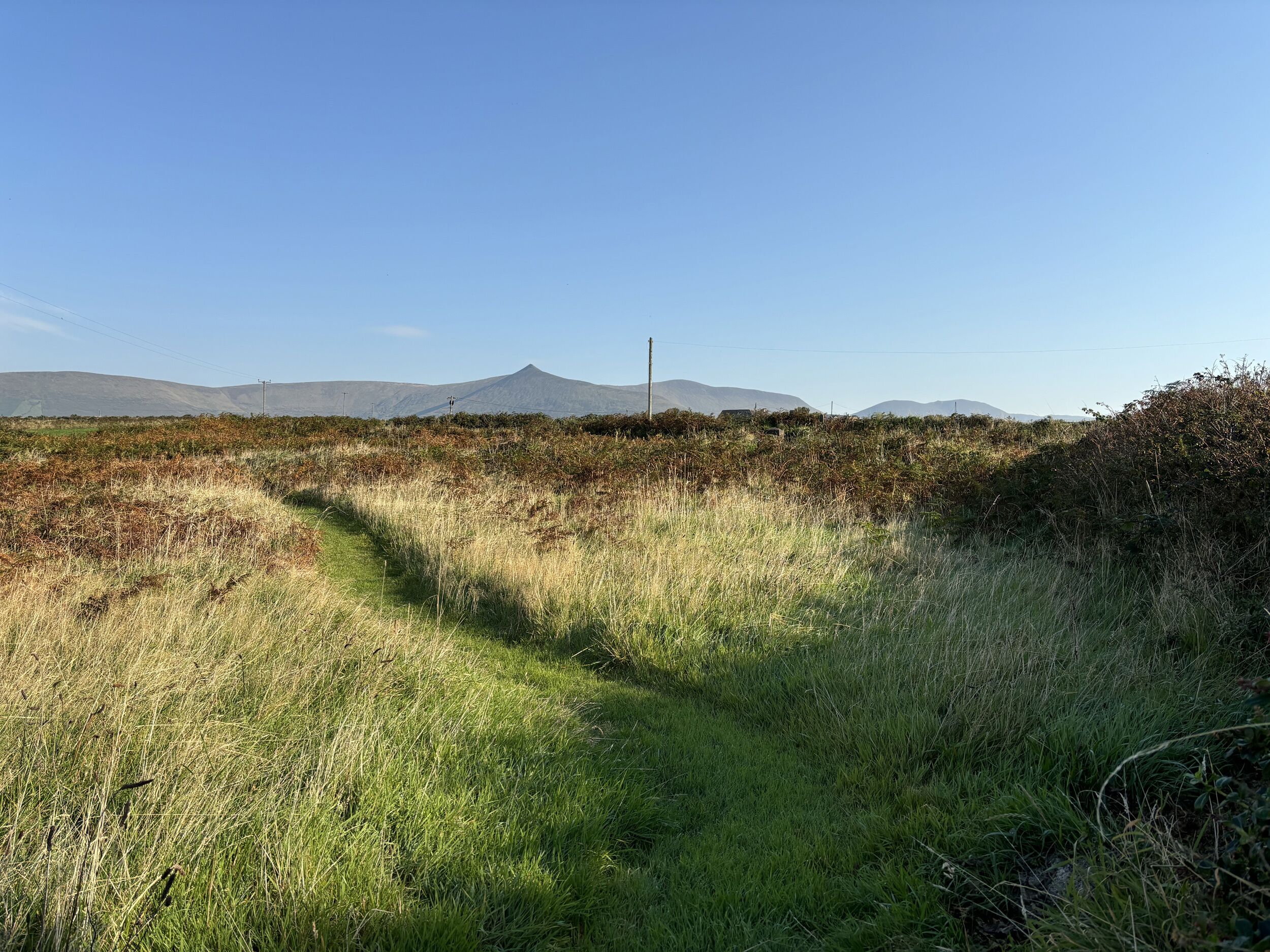 A natural landscape with a grassy path leading towards distant mountains.