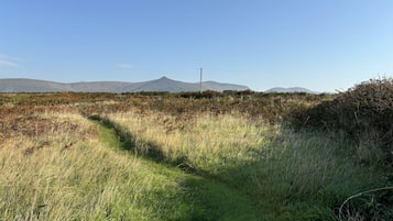 A natural landscape with a grassy path leading towards distant mountains.