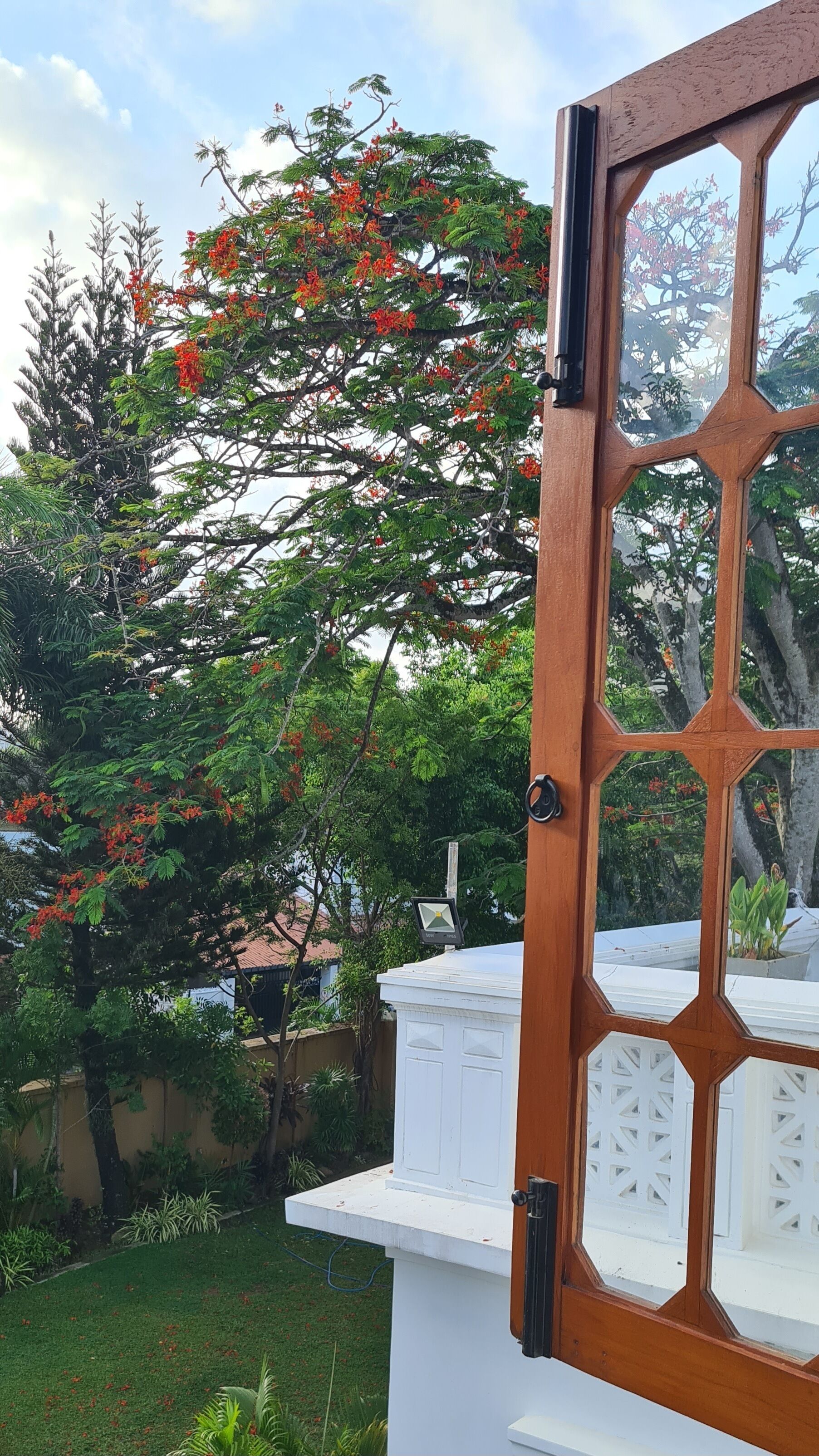 Classic Suite, Garden View | Garden view