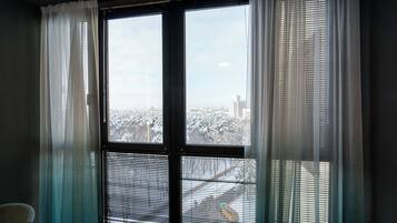 Premium Apartment | View from room