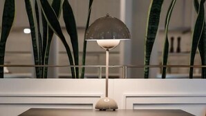 Un interno moderno con un tavolo centrale, una lampada a sospensione e alte piante verdi.