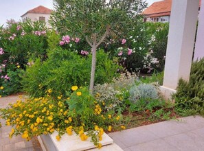 別墅 (FourBedroom Villa with heated pool) | 花園