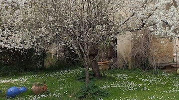 Àrea exterior de l'allotjament