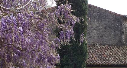 Gßte « La Maison d'Albert » avec terrasse privée, jardin partagé et Wi-Fi