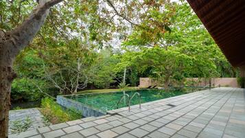 Una piscina con terraza de piedra, rodeada de vegetación exuberante y árboles.