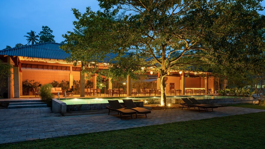 Cascara Weligama