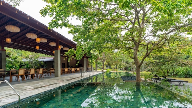 Un espace piscine avec une eau claire, une terrasse en bois et des chaises longues.
