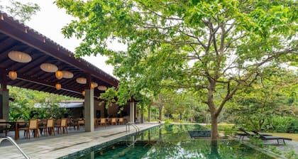 Cascara Weligama