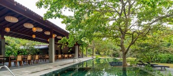 Cascara Weligama