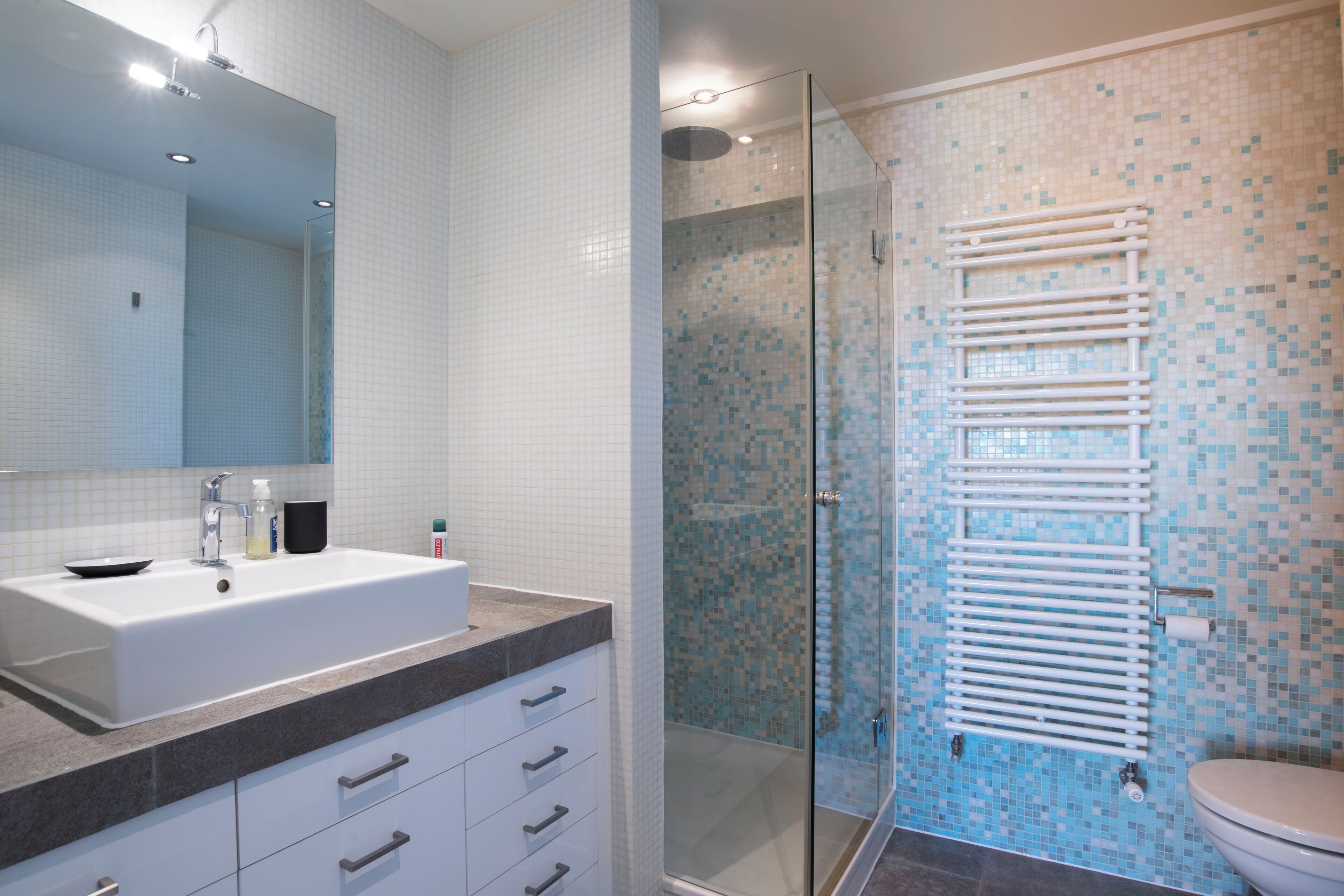 Shower, hair dryer, towels, toilet paper