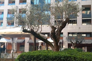 A tree in front of a building with multiple balconies and a covered outdoor area. - APARTMENT IN A STATELY SETTING.  SUITABLE FOR COUPLE OR FAMILY WITH CHILDREN (Como)