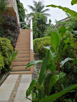 Una escalera que lleva a un edificio, rodeado de exuberante follaje y palmeras.
