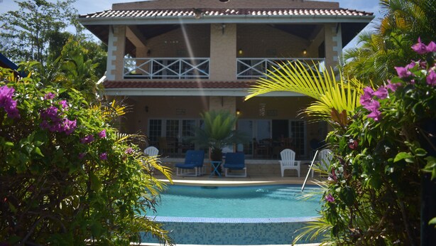 Un hotel con piscina, sillas de descanso y plantas tropicales.