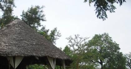 Mikumi Wilderness Camp