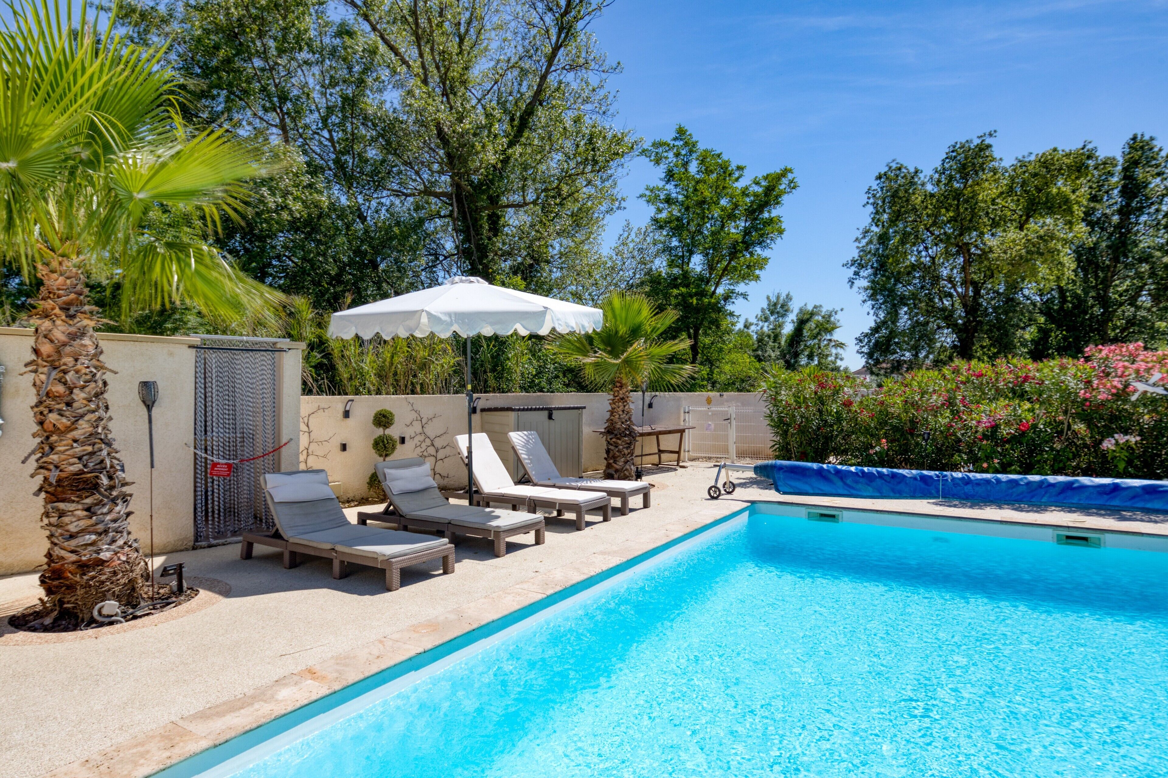 A swimming pool with lounge chairs, a palm tree, and a white umbrella.