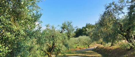 Tina de hidromasaje al aire libre
