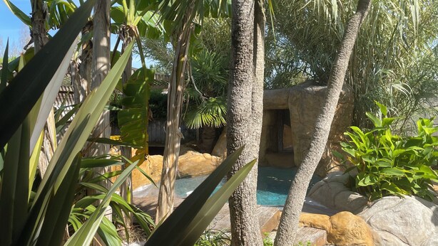 A tropical garden with a pool, palm trees, and a stone structure. - 4* listed house located 6km from Boyardville beach and 3km from Dolus (Dolus d'Oléron)