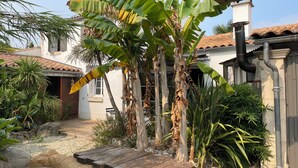 A garden with banana trees, a wooden deck, and a house with a tiled roof. - 4* listed house located 6km from Boyardville beach and 3km from Dolus (Dolus d'Oléron)