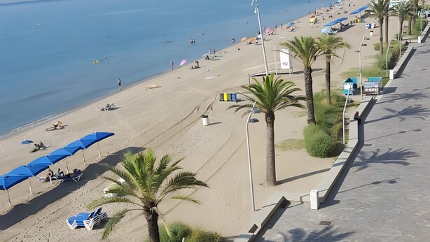 Une plage avec des parasols, des palmiers et une promenade dallée.