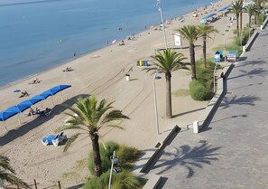 Ein Strand mit Sonnenschirmen, Palmen und einem gepflasterten Weg.