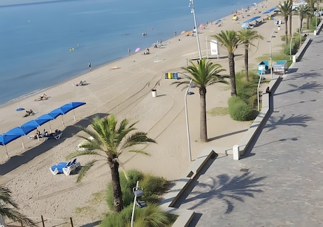 A beach with umbrellas, palm trees, and a paved walkway.