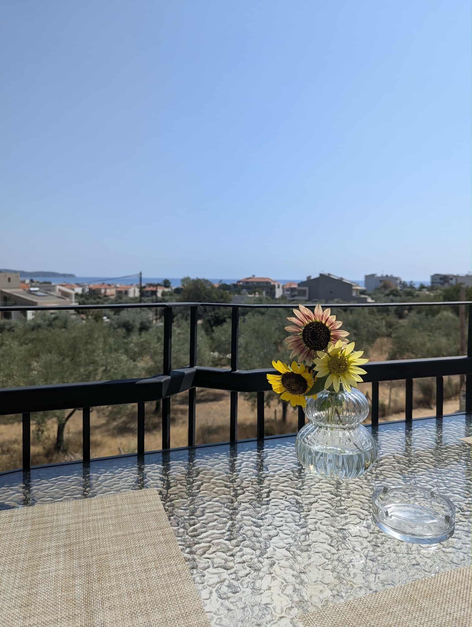 家庭公寓, 陽台, 海景 | 住宿一隅