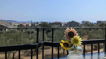 Familieleilighet, balkong, sjøutsikt | Overnattingsstedets uteområder