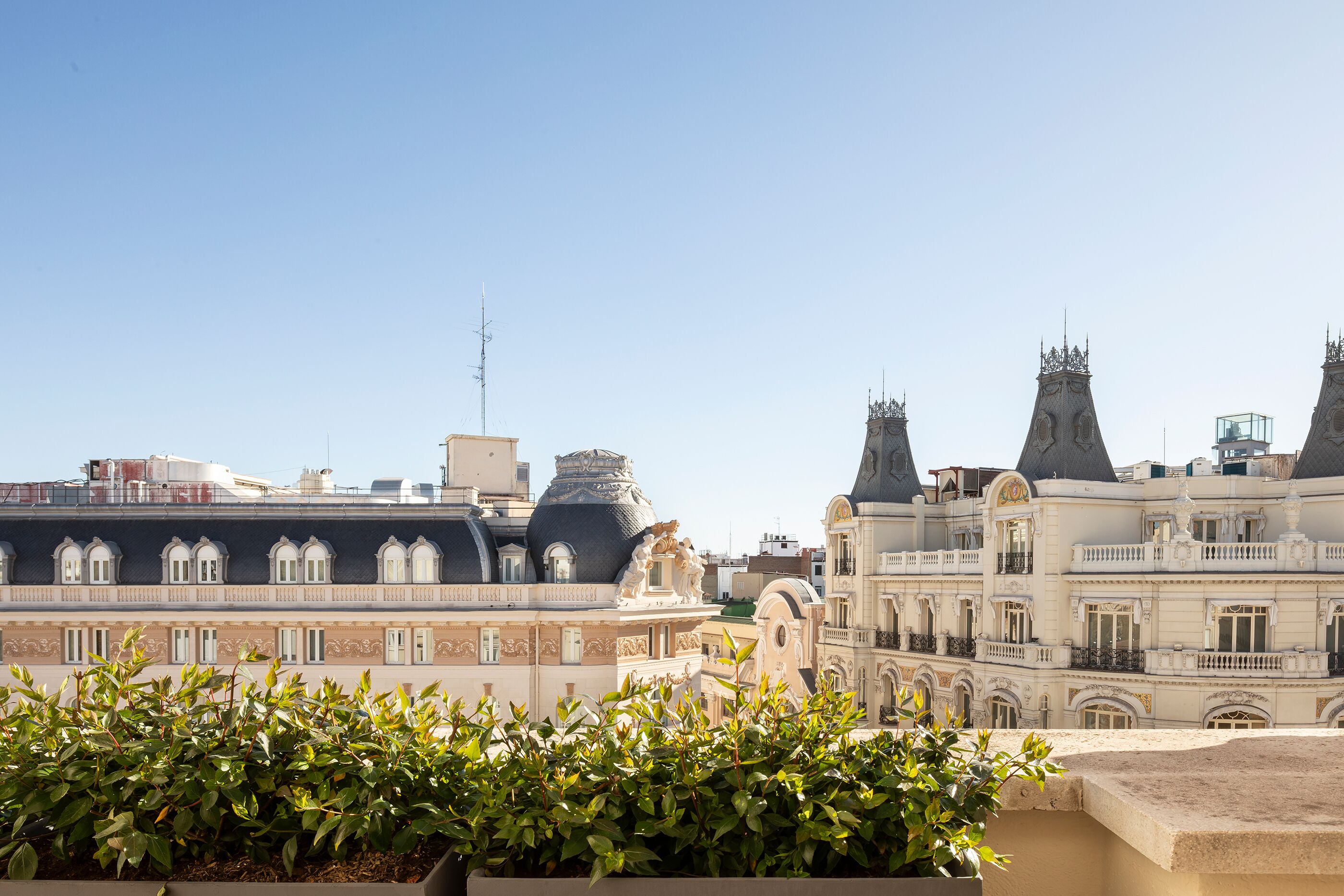 프리미엄룸, 테라스 | 객실에서 보이는 전망