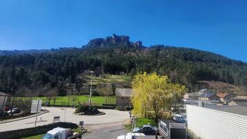 Klassieke tweepersoonskamer, uitzicht op bergen | Divers