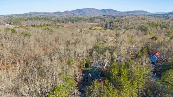 A remote cabin surrounded by dense forest with a mountain range in the background.