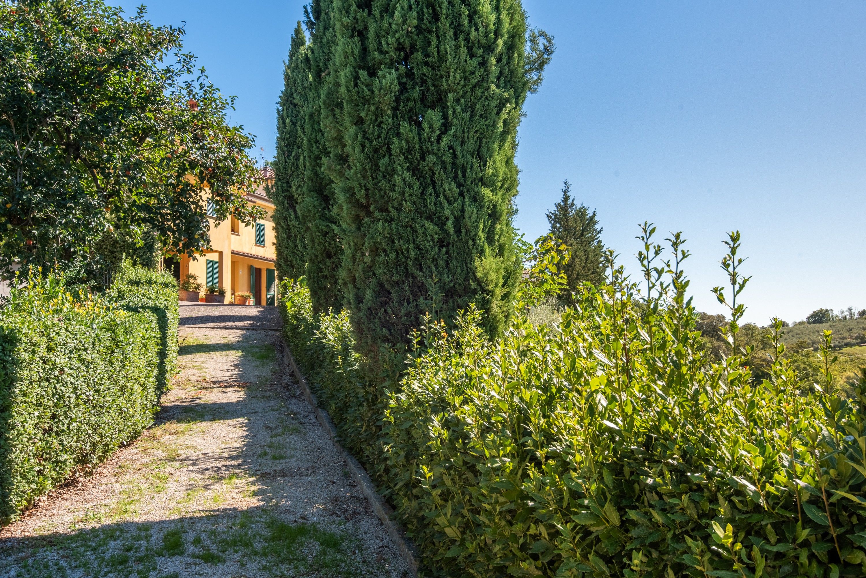 A pathway leading to a building surrounded by greenery.