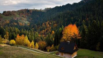 House | View from property
